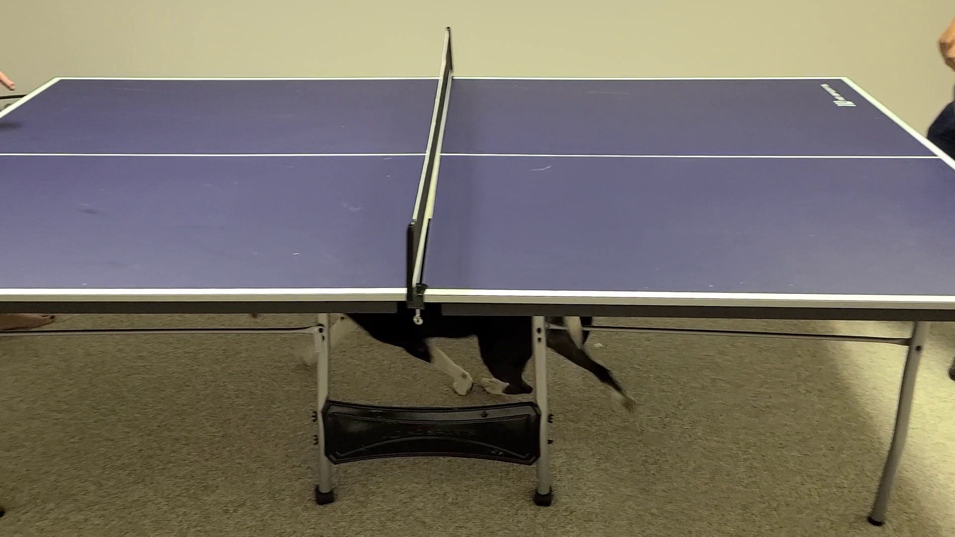 Lewis Pong